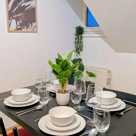 Gemuetliche Im Zentrum Beim Casino Apartment Linz